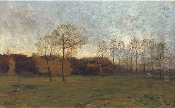 Dusk In The Meadow - view 1