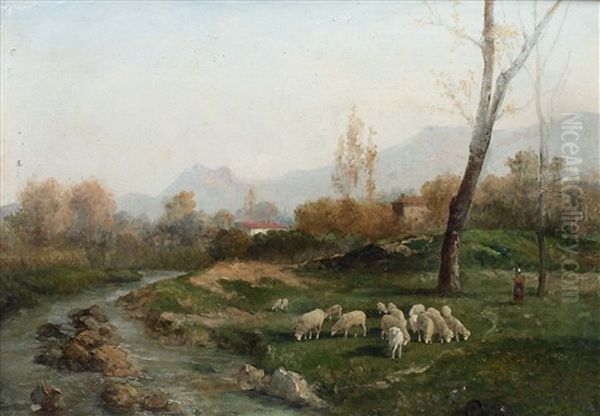 Schafherde Mit Hirtin In Provencalischer Landschaft - view 1