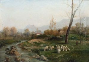 Schafherde Mit Hirtin In Provencalischer Landschaft