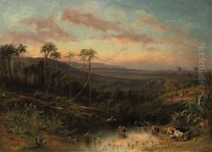 Cuban Landscape, Cattle Watering At A Pool In The Foreground