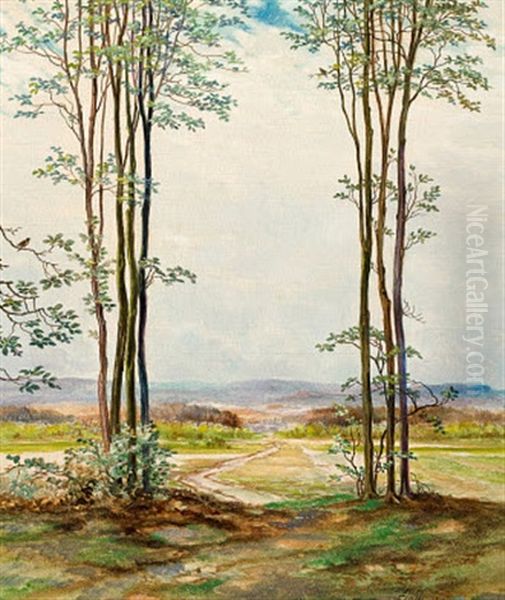 Lichtung - view 1