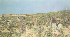 Vendimiadoras De Moguer by Salvador Clemente Y Perez