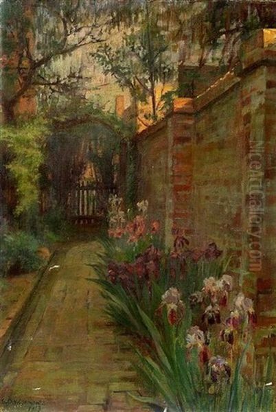Garden Path Lined With Iris - view 1