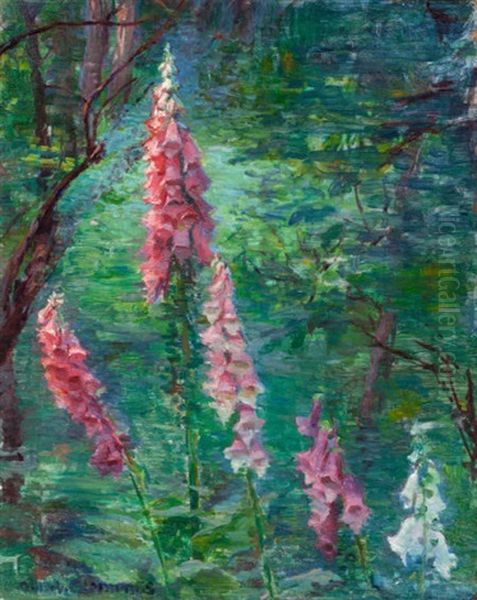 Forest Interior And Foxgloves (double-sided) - view 1