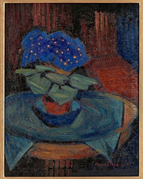Bla Cineraria - view 1