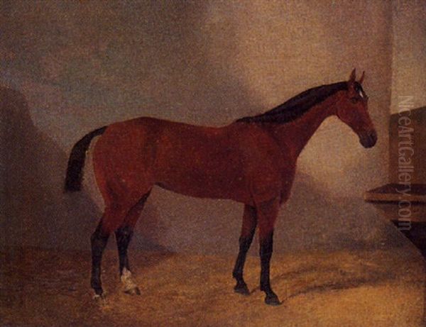 Caballo - view 1