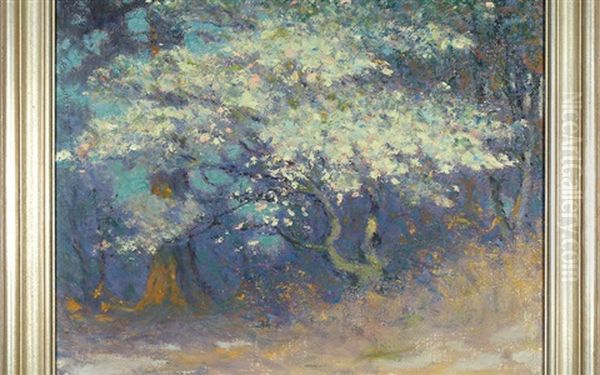 The Dogwood And Pine Tree - view 1