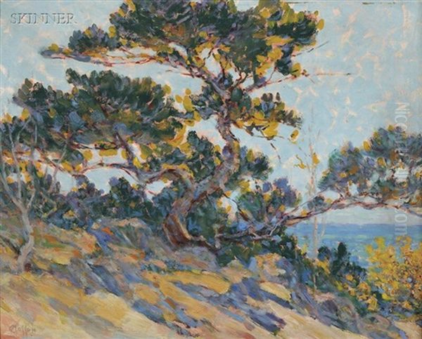 Windswept Cypress/a California View - view 1