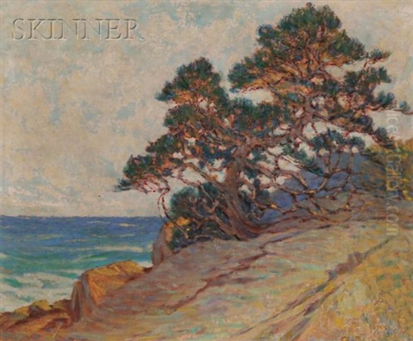 Windblown Pine, A California Coastal View - view 1