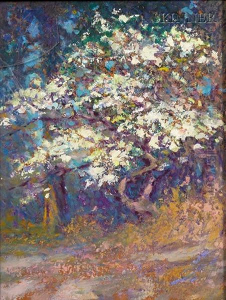 Apple Tree In Bloom - view 1