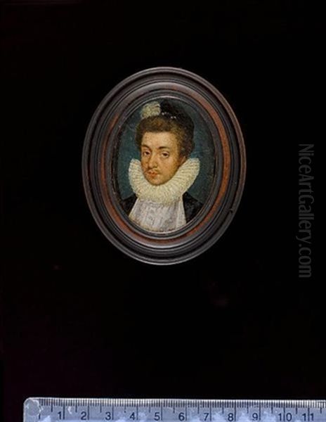 A Nobleman (francois, Duke Of Anjou ?) - view 1