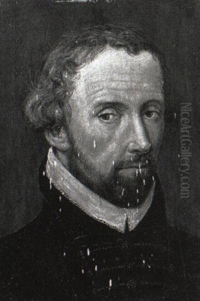 Portrait Of A Gentleman (robertus Malcotius?) Wearing A Black Tunic - view 1