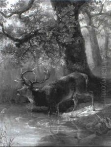 Elk by George Lafayette Clough