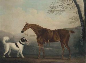 Hunter Alezan Et Chien De Chasse Dans Un Paysage