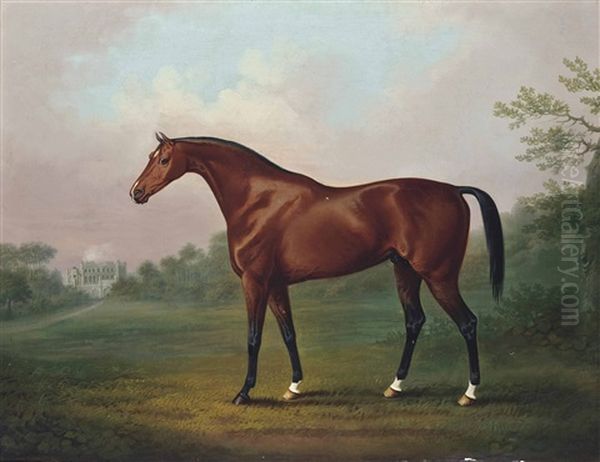 A Bay Hunter Standing Before Eaton Hall, Cheshire - view 1