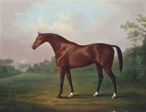 A Bay Hunter Standing Before Eaton Hall, Cheshire