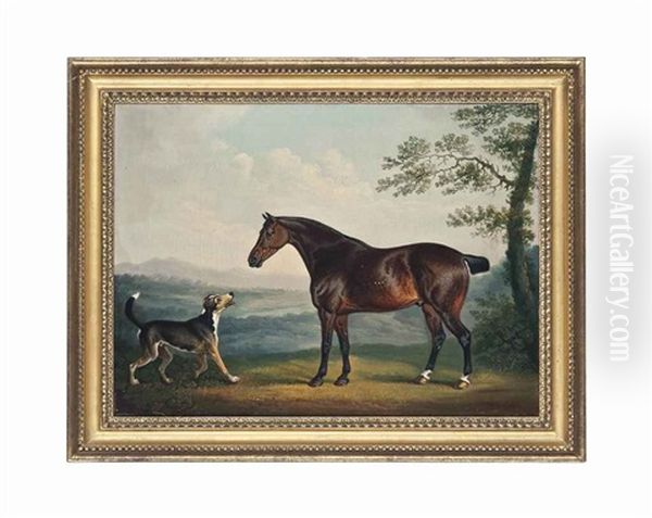 A Horse And A Hound In A Wooded Landscape - view 1