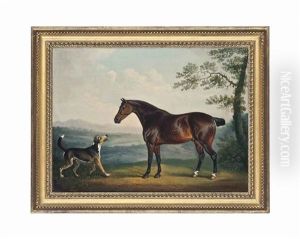 A Horse And A Hound In A Wooded Landscape