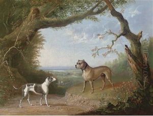 A Bulldog And Bull Terrier In A Landscape