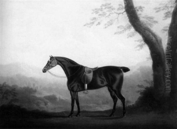 Portrait Of A Horse - view 1