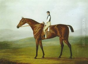Colonel Cradock's "sir Walter" With Jockey Up