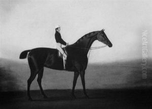 "spartan", A Bay Racehorse, With Jockey Up On A Racecourse