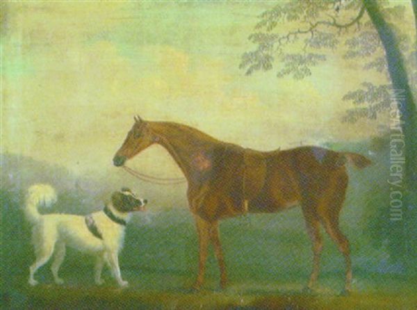 Ridhast Och Hund I Landskap - view 1