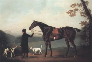 A Bay Hunter Held By A Groom