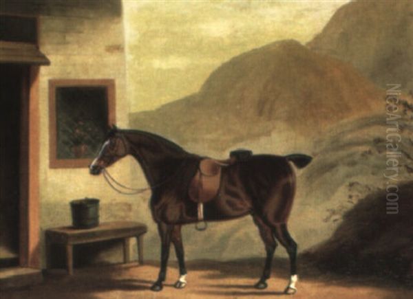 A Saddled Bay Outside A Cottage In A Mountainous Landscape - view 1