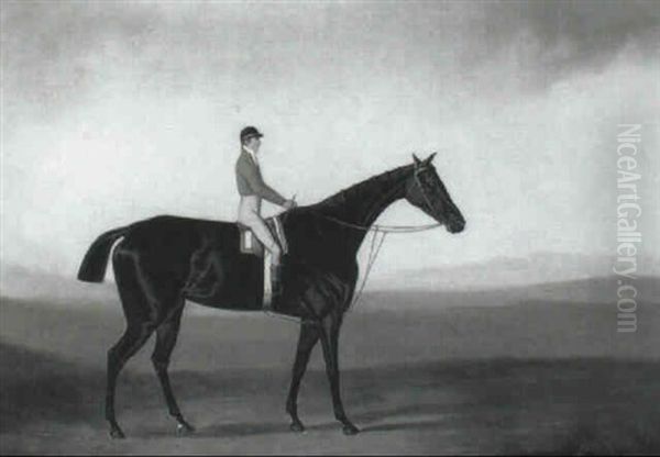 Dark Bay Racehorse With Jockey Up - view 1