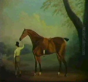 Cheval De Chasse Cheval De Chasse