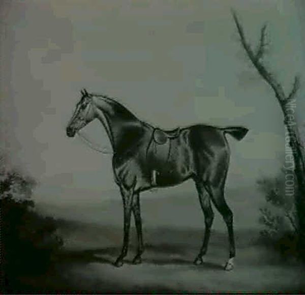 Cheval Selle Dans Un Paysage - view 1