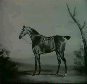 Cheval Selle Dans Un Paysage