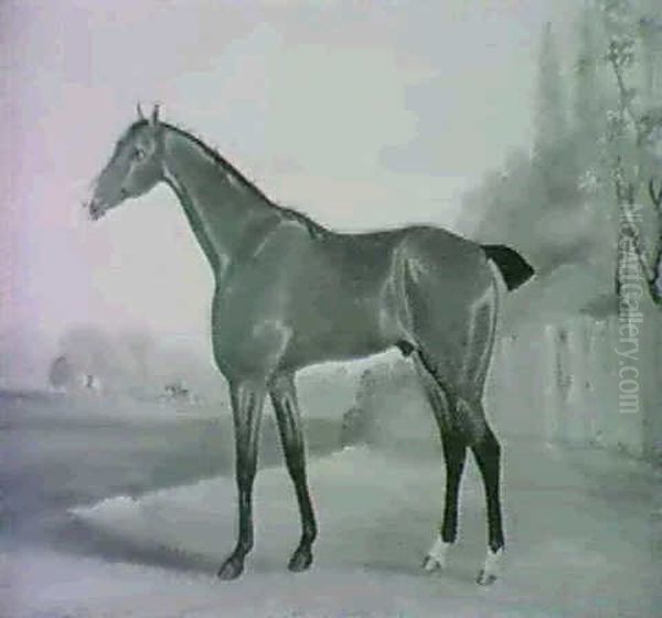 A Chestnut Hunter In A Field - view 1