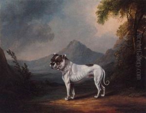 Portrait Of The Bulldog Ball In A Landscape by Henry Clowes