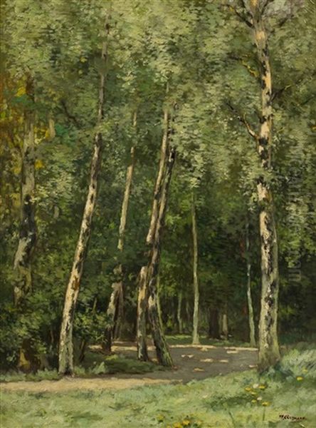 Sunny Forest - view 1