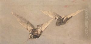 Birds In Flight by William Clusmann