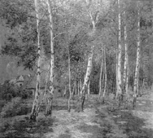 Verdent Landscape With Birch Trees And White Houses - view 1