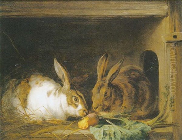 The Favourite Rabbits - view 1