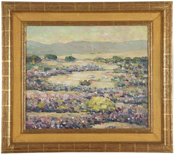 Desert Verbena - view 1