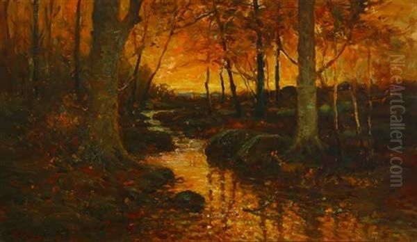 Sunset In Wood After Rain - view 1