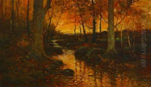 Sunset In Wood After Rain by Frank Coburn