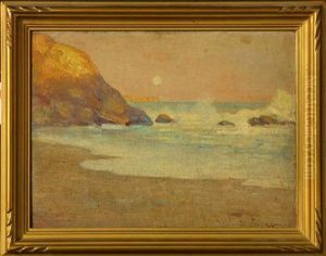 Moonlight Coastal Moonlight Coastal
