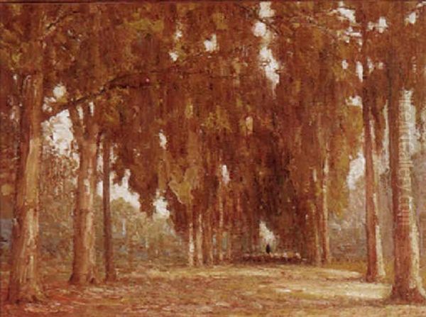 The Avenue - view 1