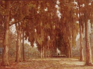 The Avenue