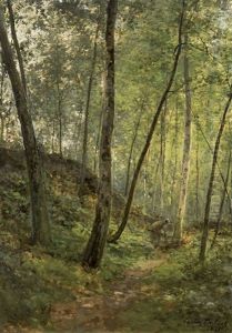 Sous-bois by Cesar De Cock