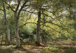 Forest View by Cesar De Cock