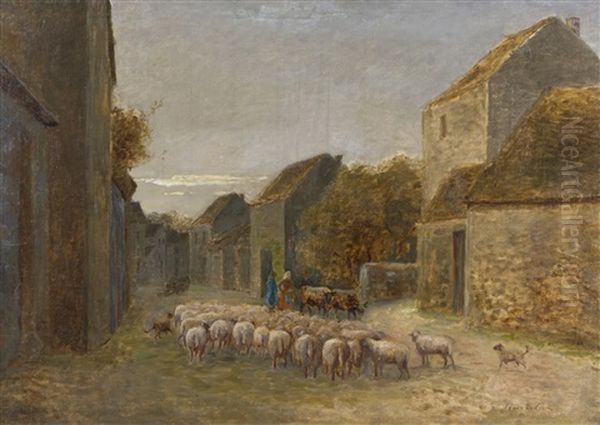 Sheeps - view 1