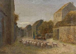 Sheeps Sheeps