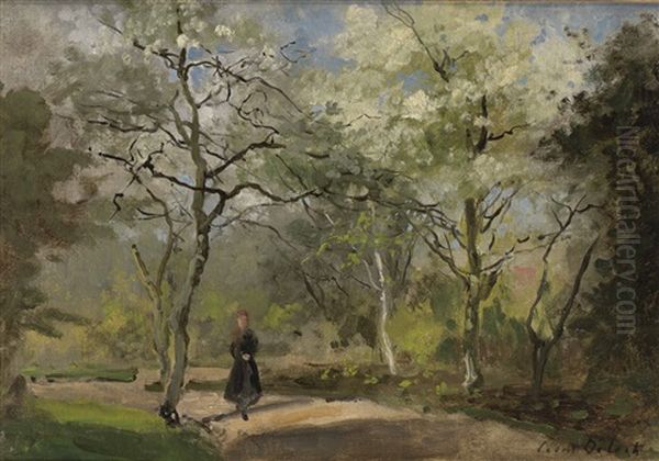 A Sunny Morning Walk In The Forest - view 1